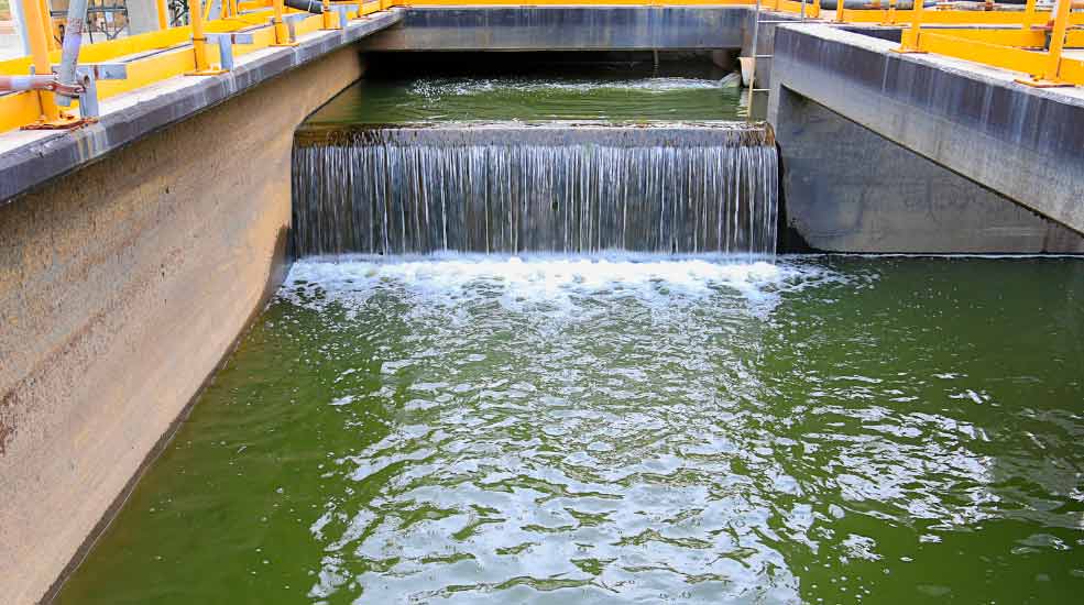 Eaux usées, pourquoi est ce important de les assainir ?